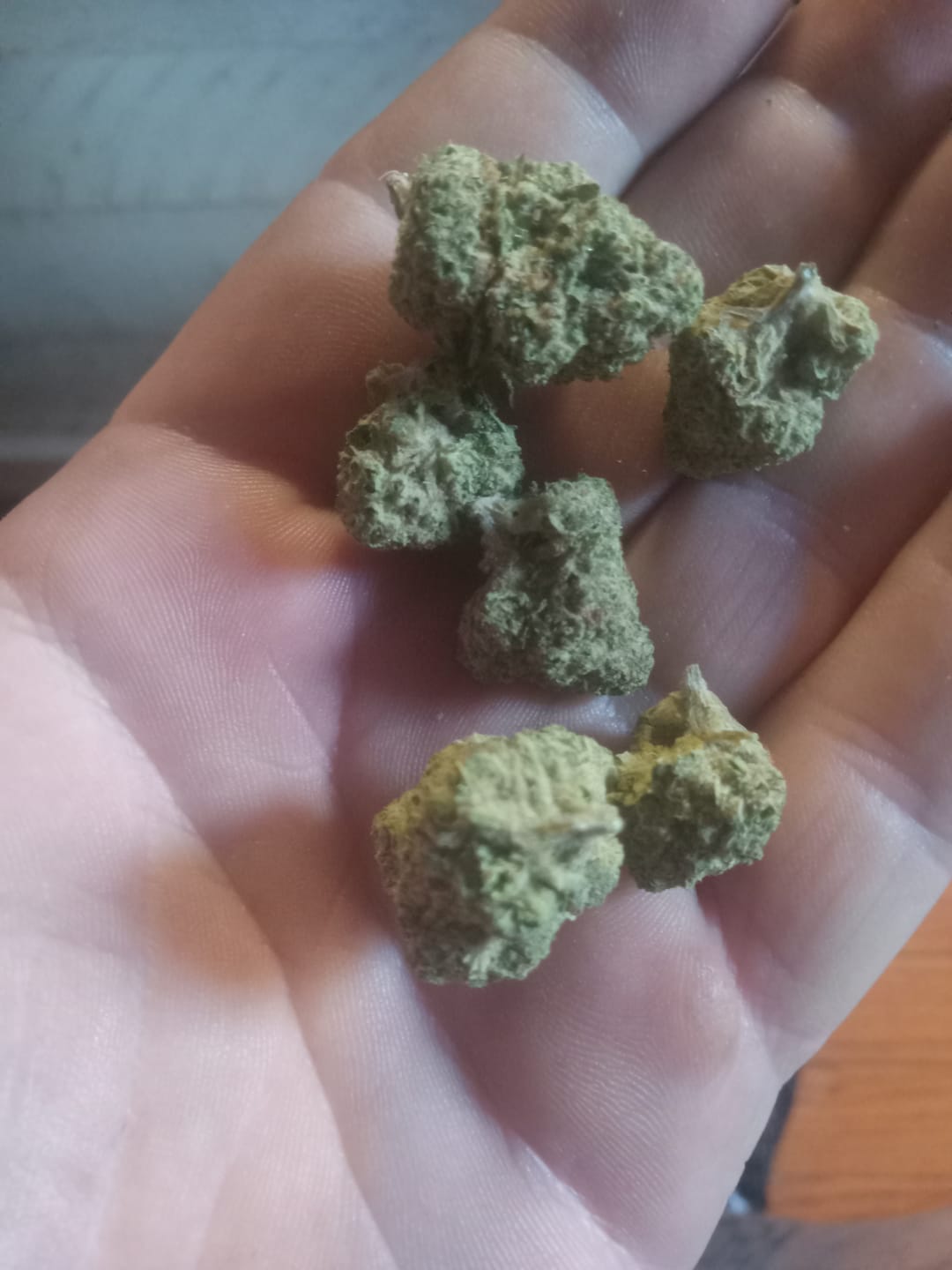 Customer photo review of Bulk Indoor THCA Smalls