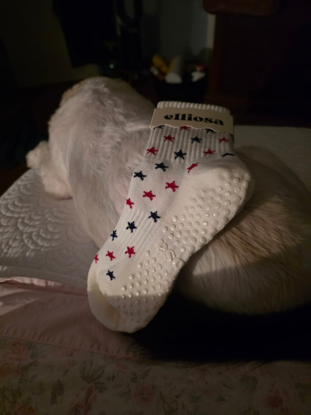 Customer photo review of Liberty Grip - Stars