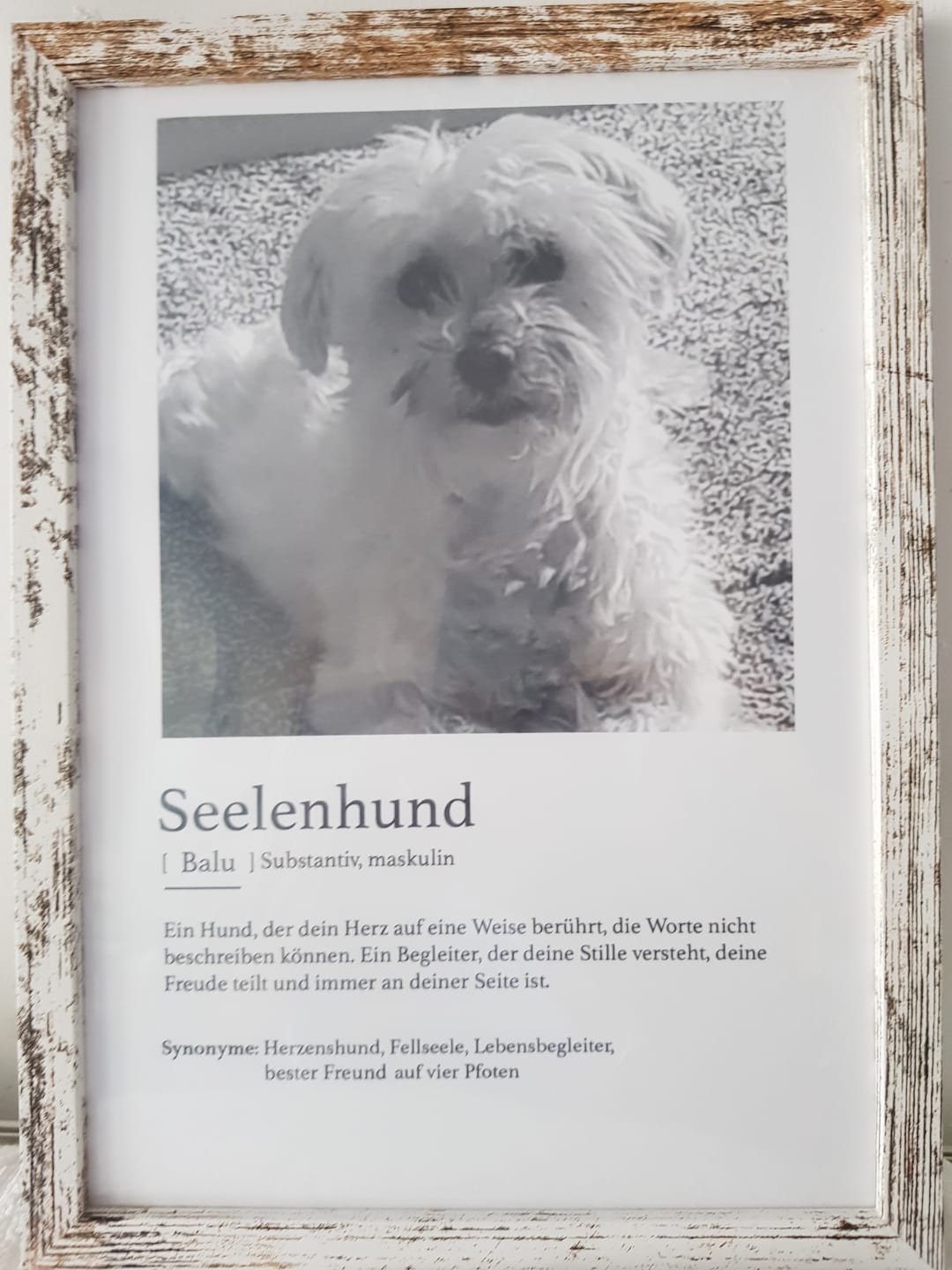 Customer photo review of Personalisiertes Poster - Definition Seelentier