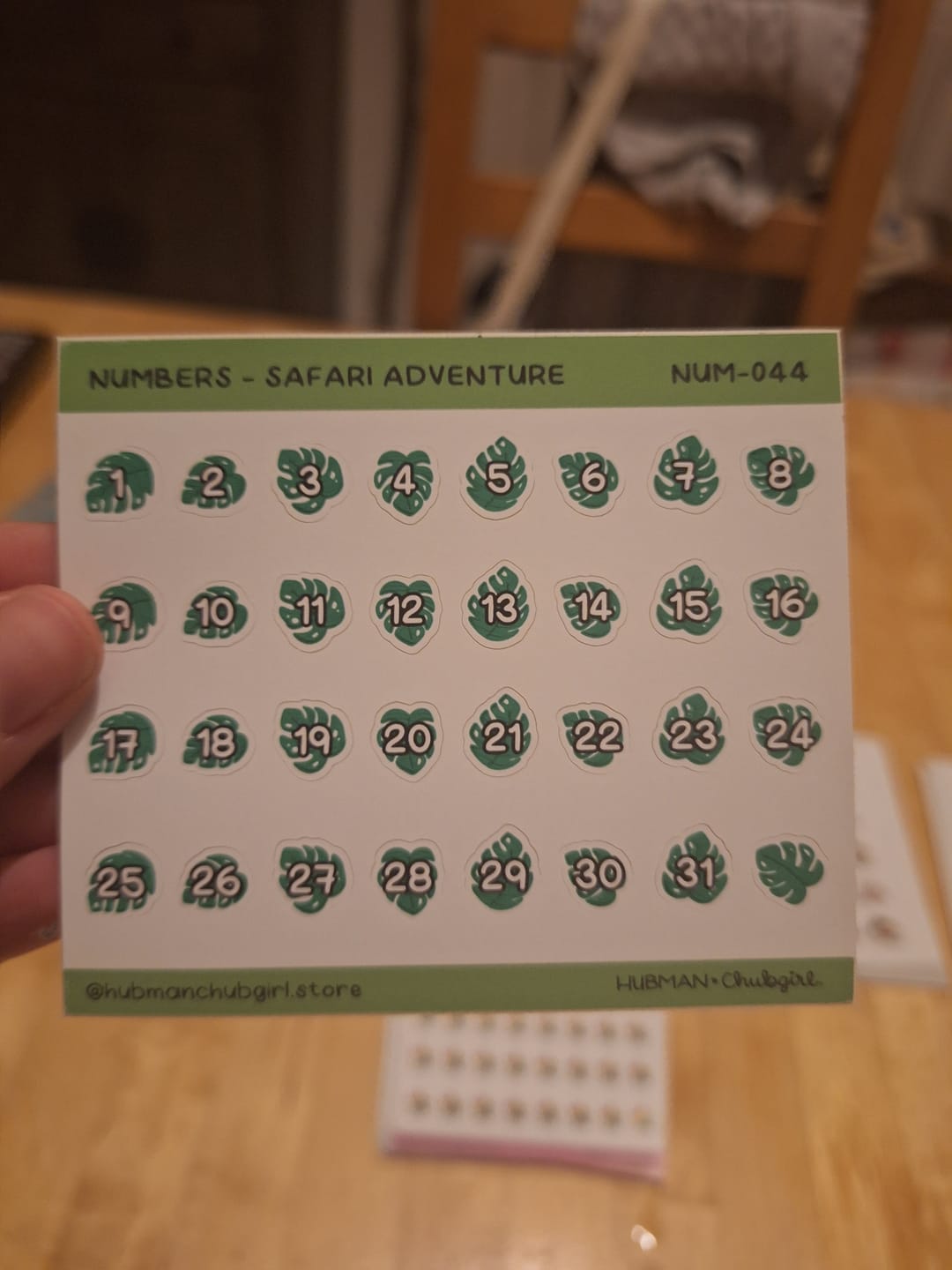Customer photo review of Numbers - Safari Adventure Planner Stickers
