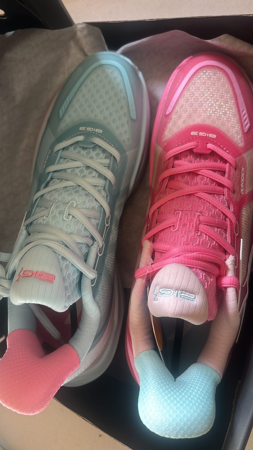Customer photo review of BIG3 4.0 Quick "Reverse"
