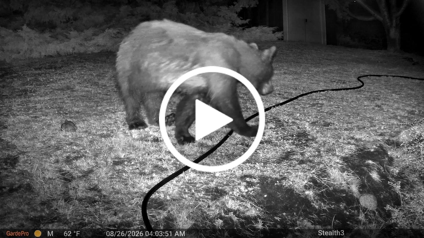 Customer video review of GardePro E8 2.0 Pro Wi-Fi Trail Camera
