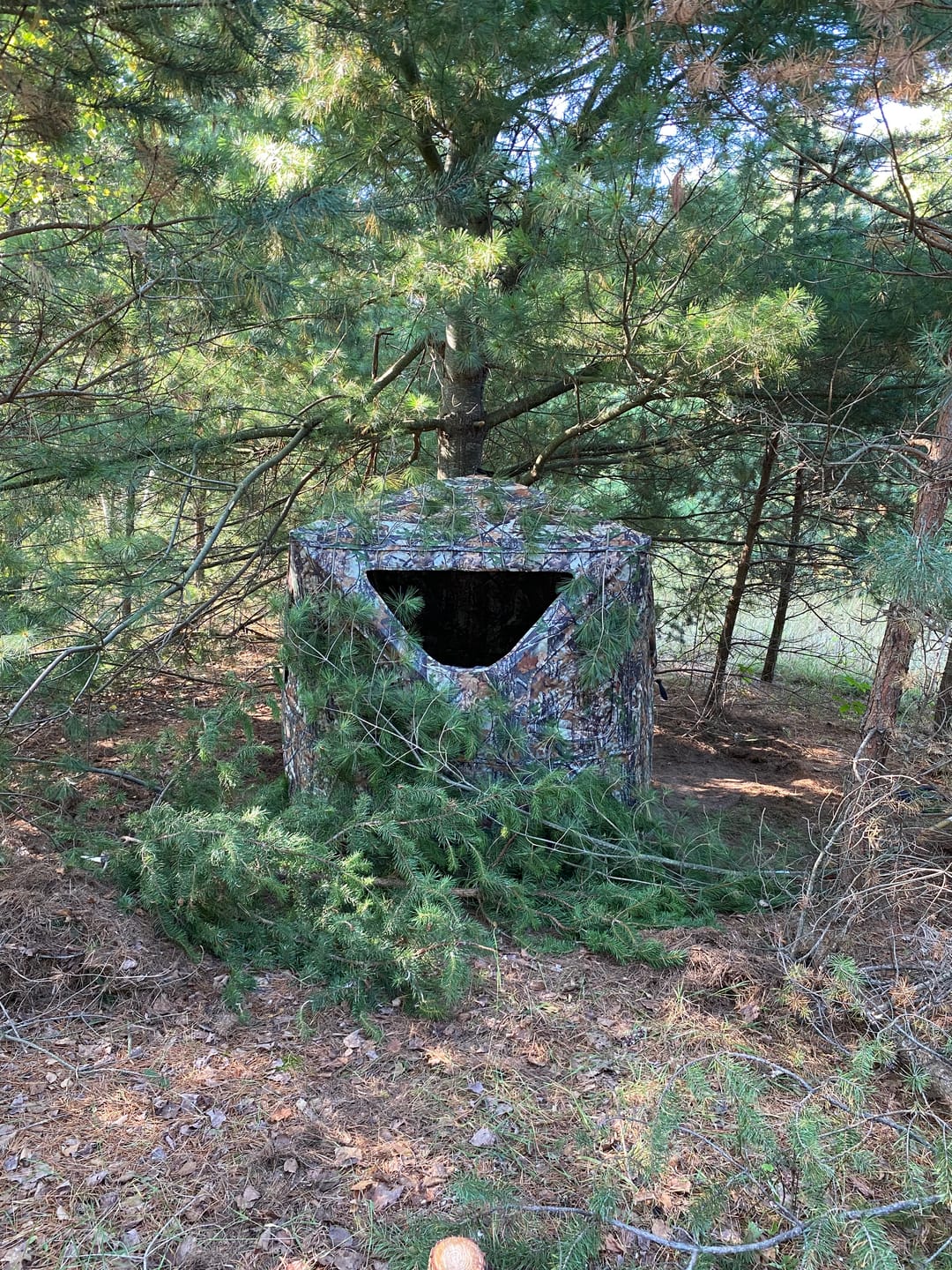 Customer photo review of Vis360 See Through Ground Blind | 360° Camouflage Pop Up Hunting Blind for 2/3/4 Person | Portable Deer Blind with Orange Cover