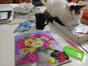 Customer photo review of Renkli Kedi 40x50cm