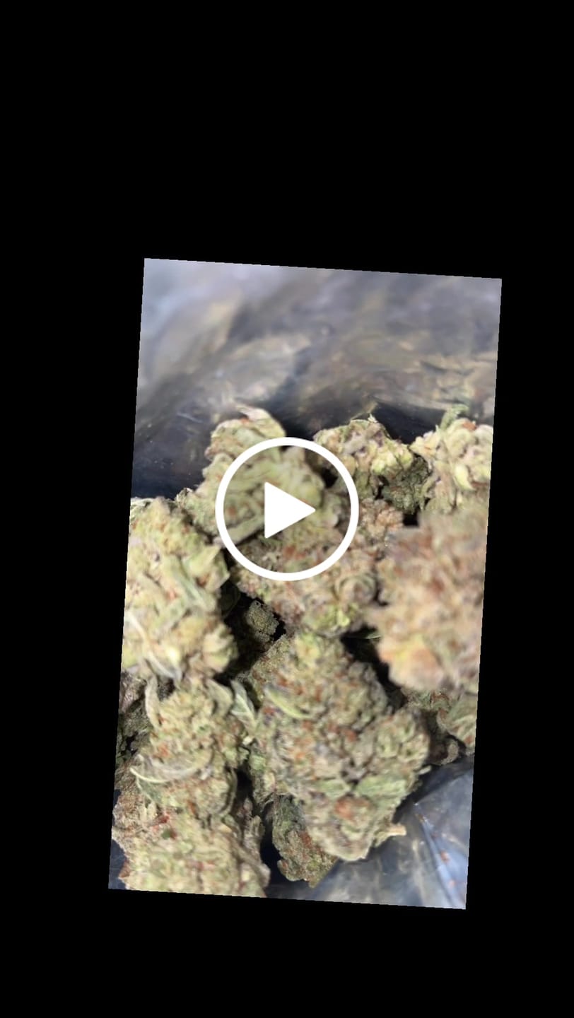 Customer video review of Triangle Kush - Bulk - Indica