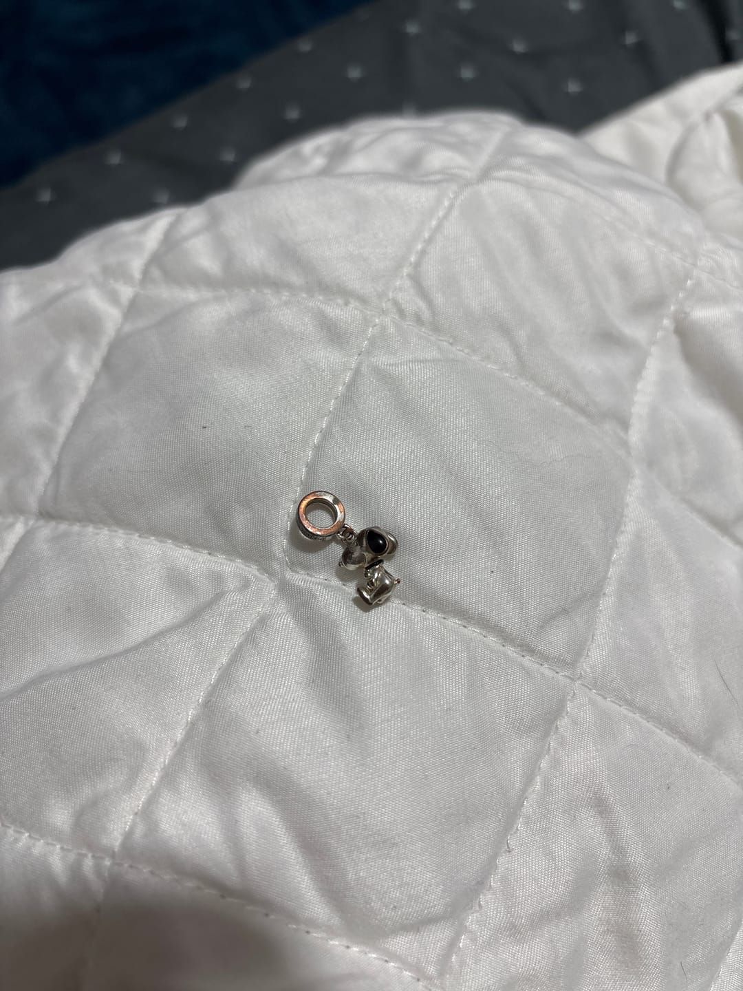 Customer photo review of Snoopy & Woodstock