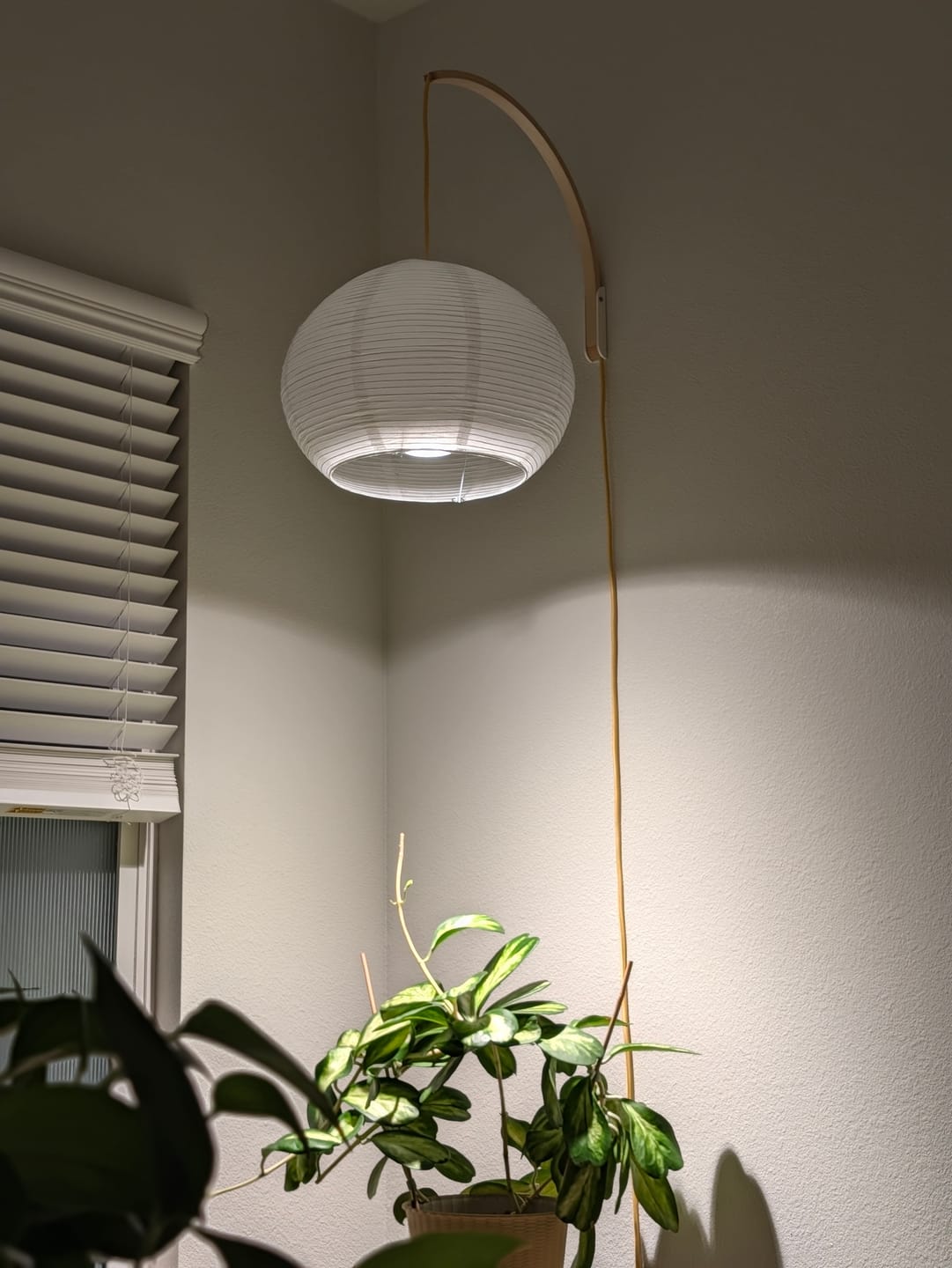 Customer photo review of Spherical Dome Shaped Premium Fine Line Paper Lantern Lampshade, White (16"W x 12"H)