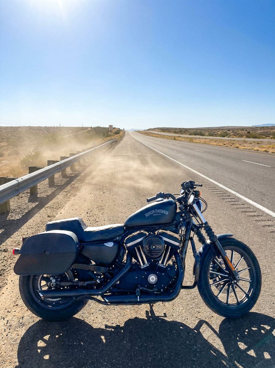 Customer photo review of 32L - Panzer Large Hard Mount Shock Cutout Saddlebags for Harley Sportster 883 Iron XL883N
