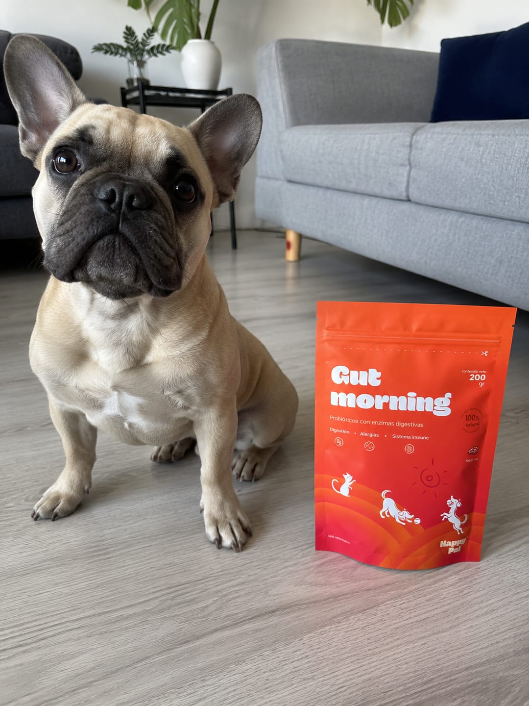 Customer photo review of Gut Morning I Probióticos para perros. Suplemento para Salud Digestiva y Salud Intestinal