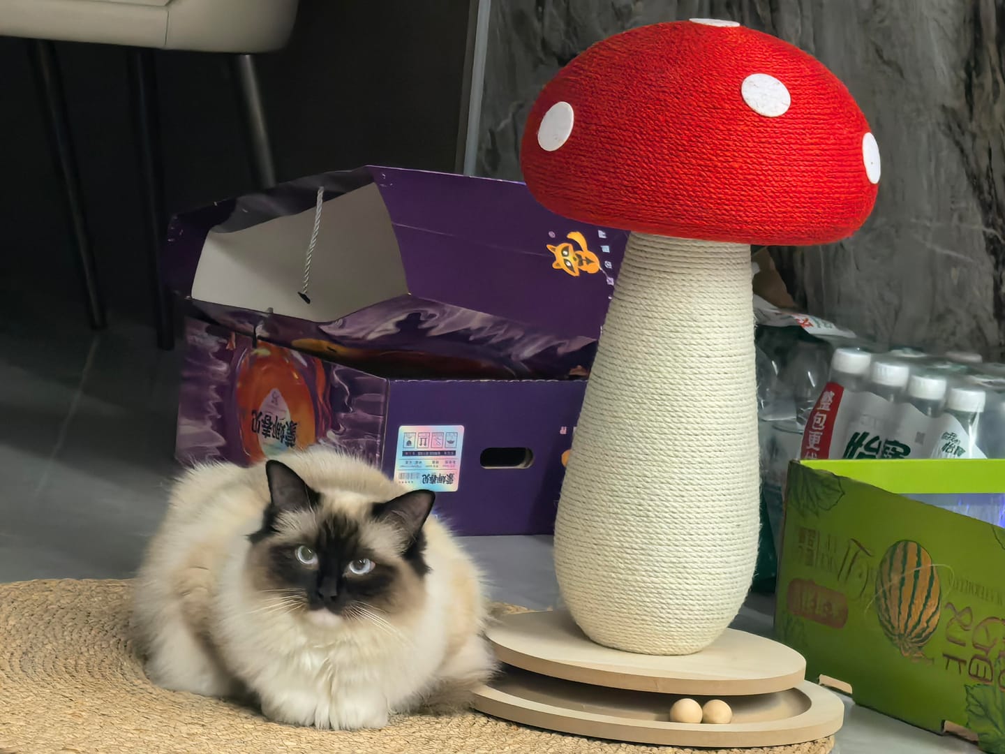 Customer photo review of Red Mushroom Cat Scratching Post