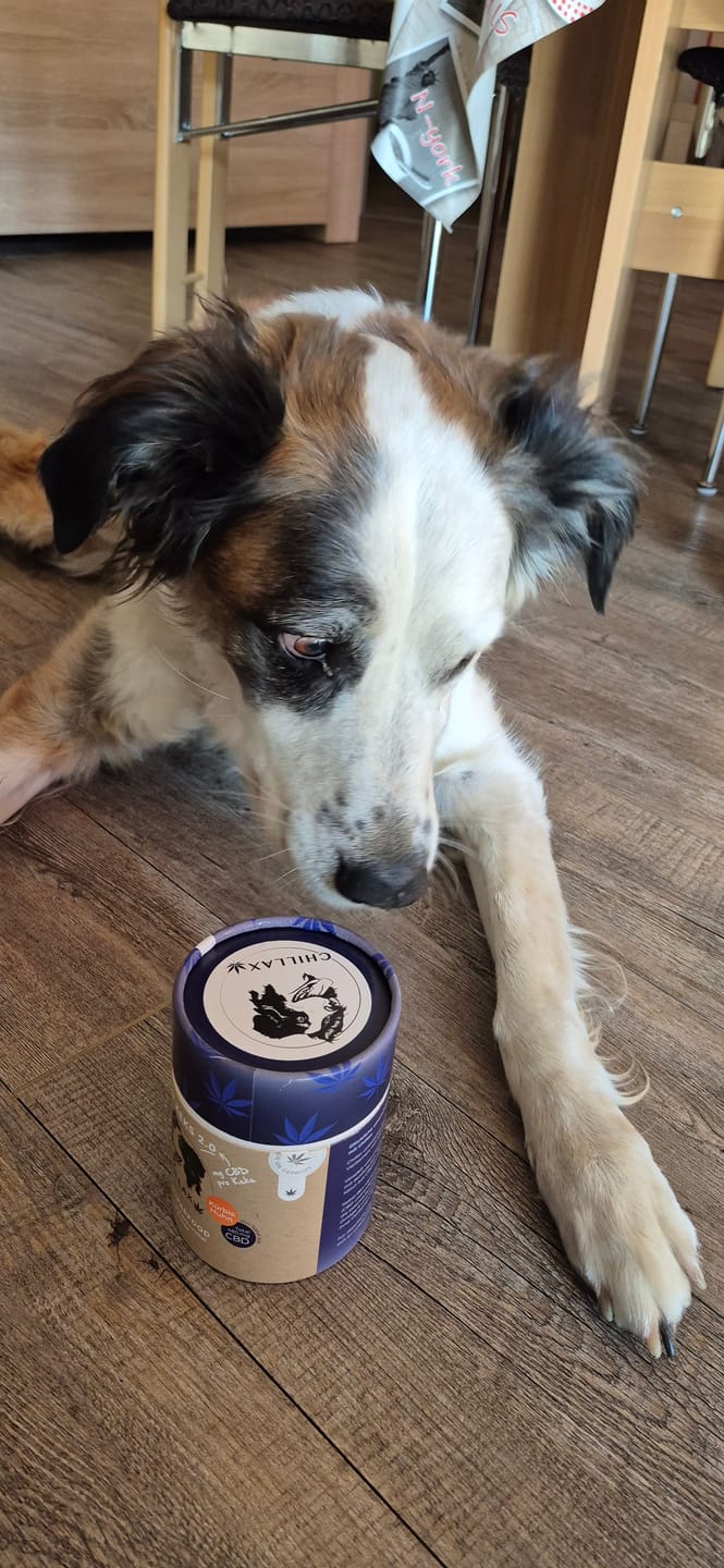 Customer photo review of Hundekekse - Kürbis-Huhn - 2 mg CBD