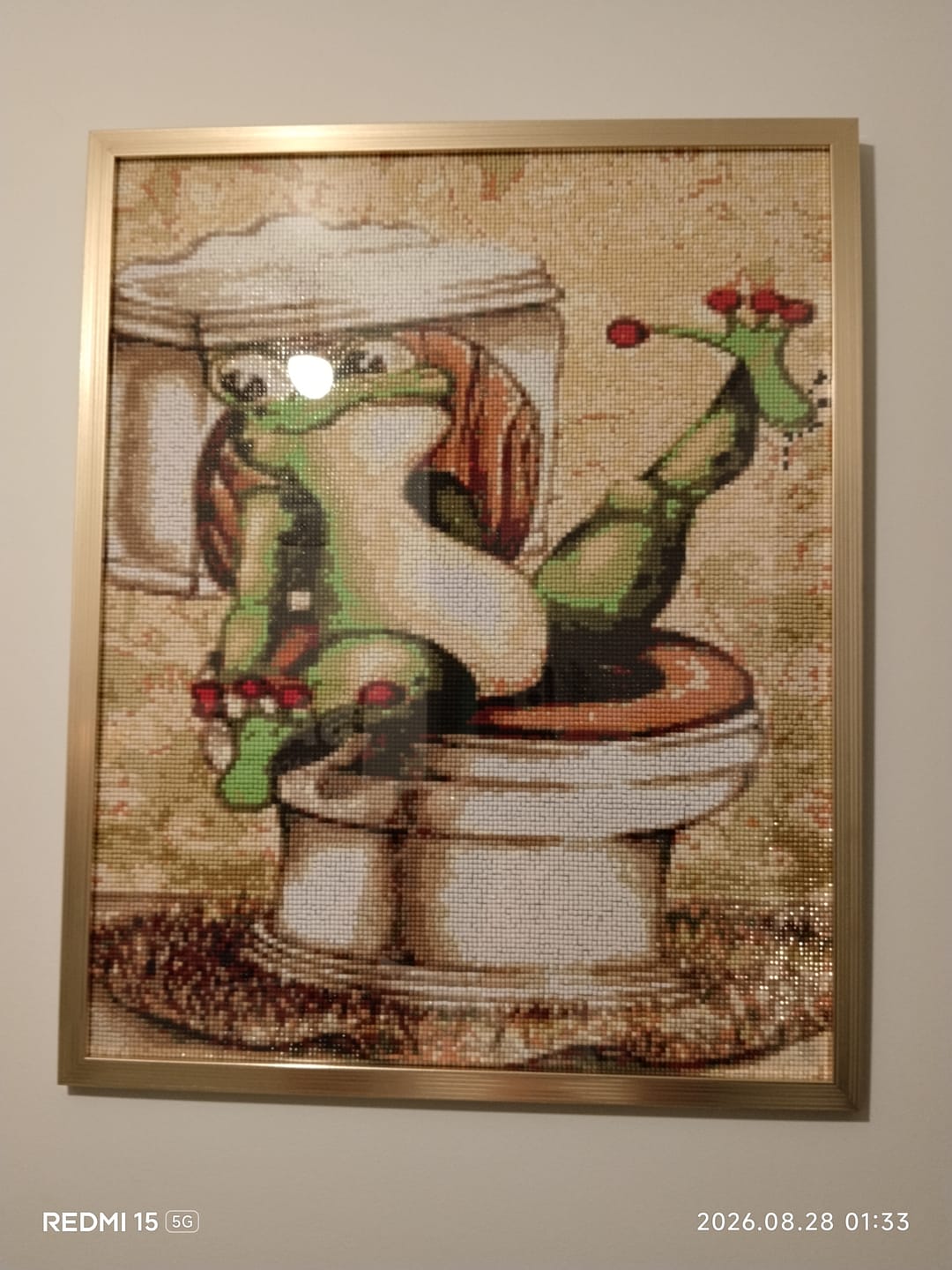 Customer photo review of Broderie Diamant - La Grenouille aux Toilettes