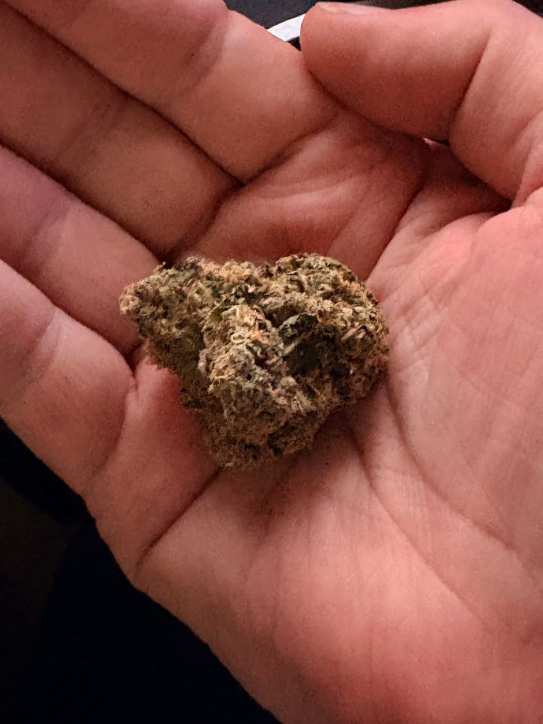 Customer photo review of Biscotti THCA Flower (Premium)