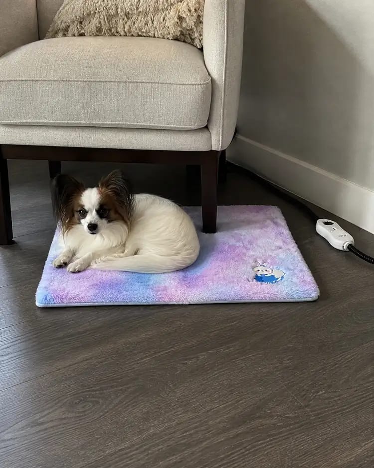 Customer photo review of CozyGlow Adjustable Pet Heating Pad
