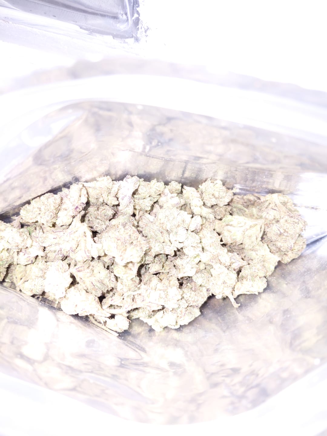 Customer photo review of Light Assist THCA Smalls