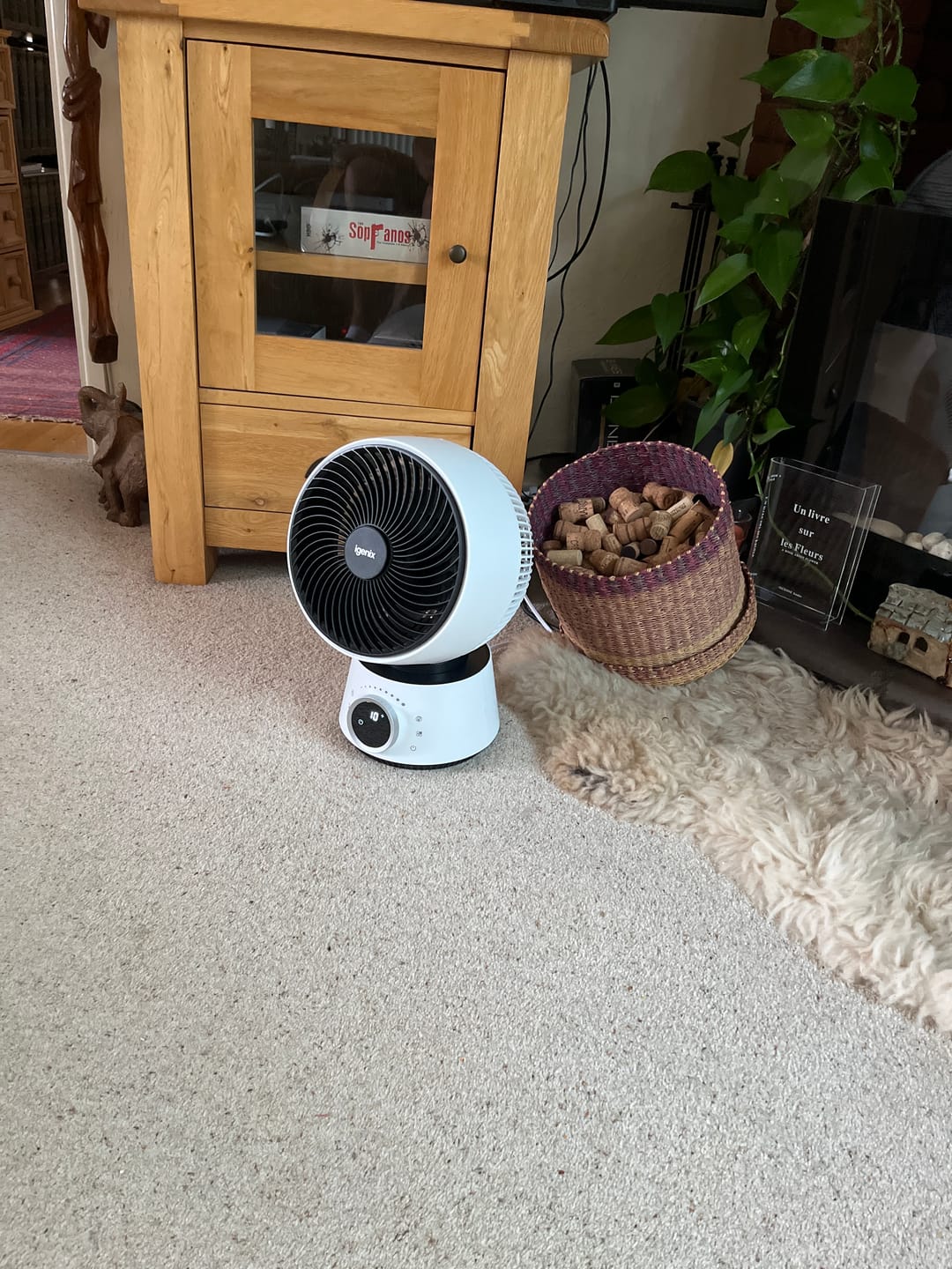 Customer photo review of Digital Air Circulator Turbo Fan, 9 Inch, White