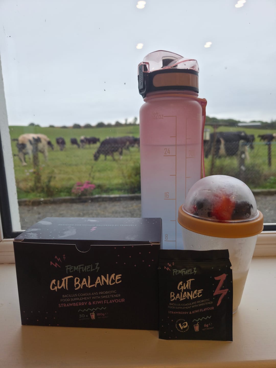 Customer photo review of Gut Balance