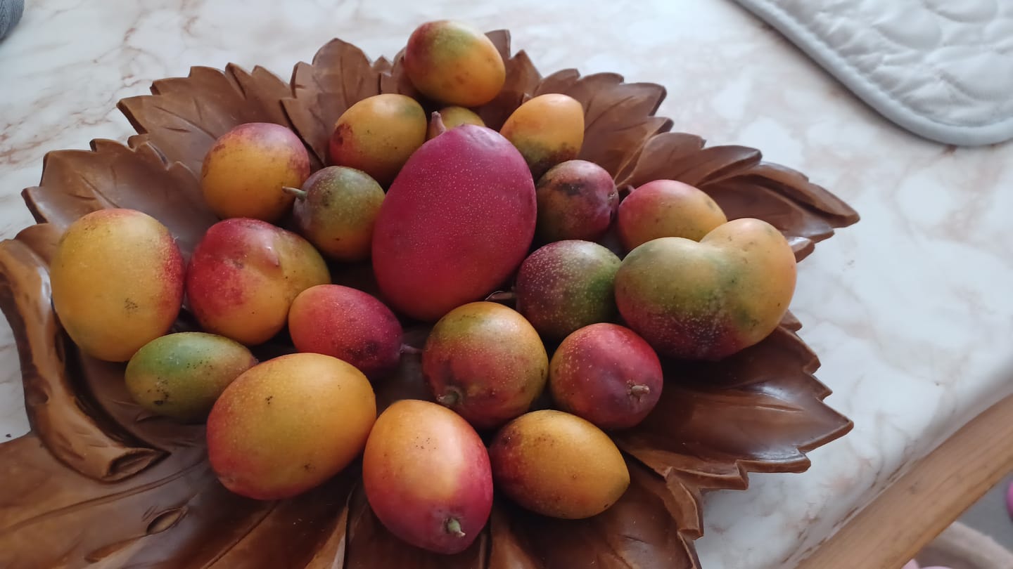 Customer photo review of Mini-Mango von Juan 3kg Retterbox %