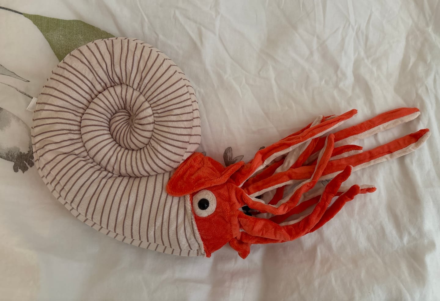 Customer photo review of Ammonite Soft Stuffed Plush Toy