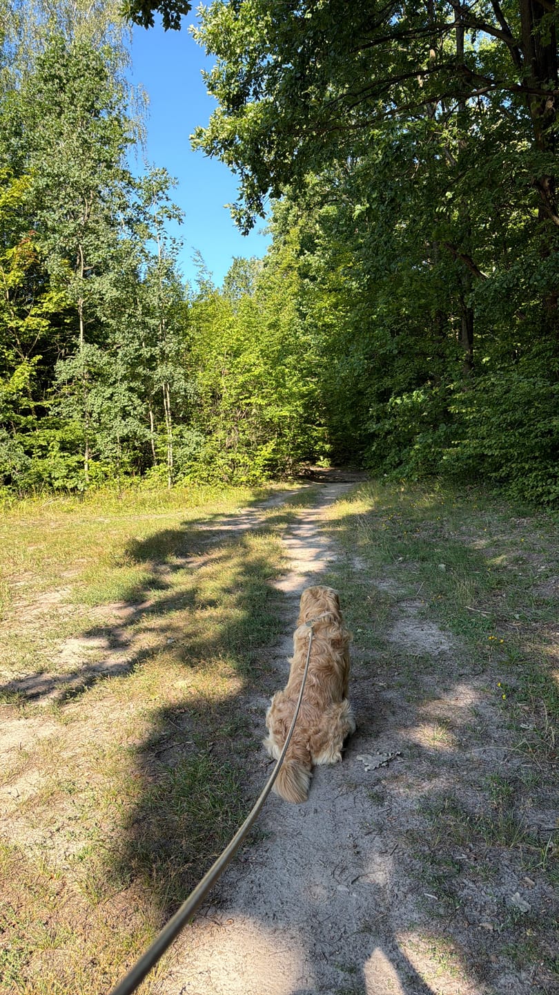 Customer photo review of Smycz linowa "Oatmeal Beige" - złote okucia