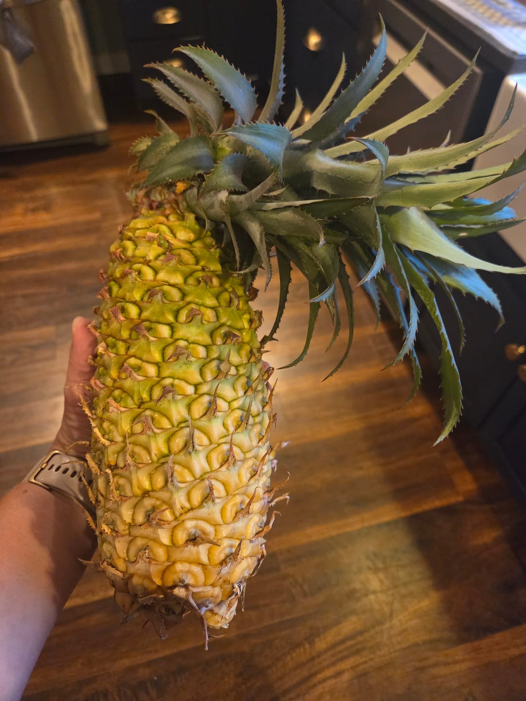 Customer photo review of Jungle Pineapple