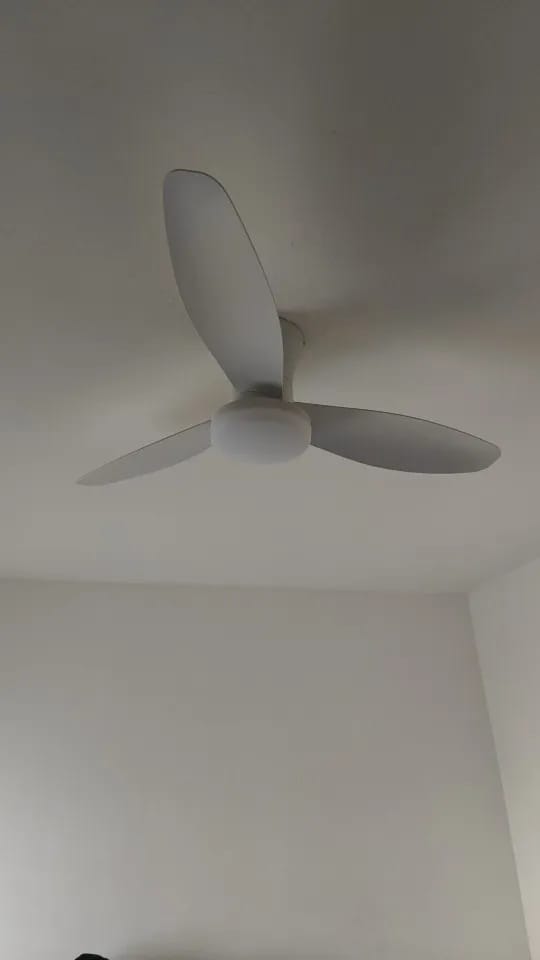 Customer photo review of Three-Blade Ceiling Fan with Dimmable Light and Remote