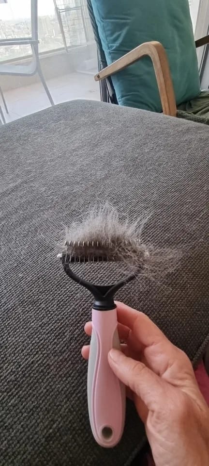 Customer photo review of Pet Deshedding & Grooming Brush