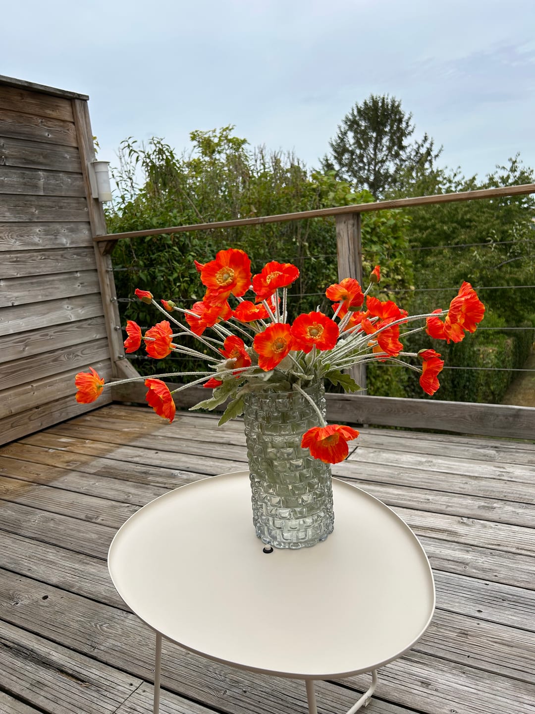Customer photo review of Coquelicots - Orange (10 tiges)