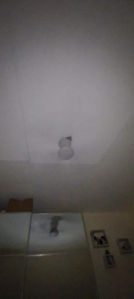 Customer photo review of Three-Blade Ceiling Fan with Dimmable Light and Remote