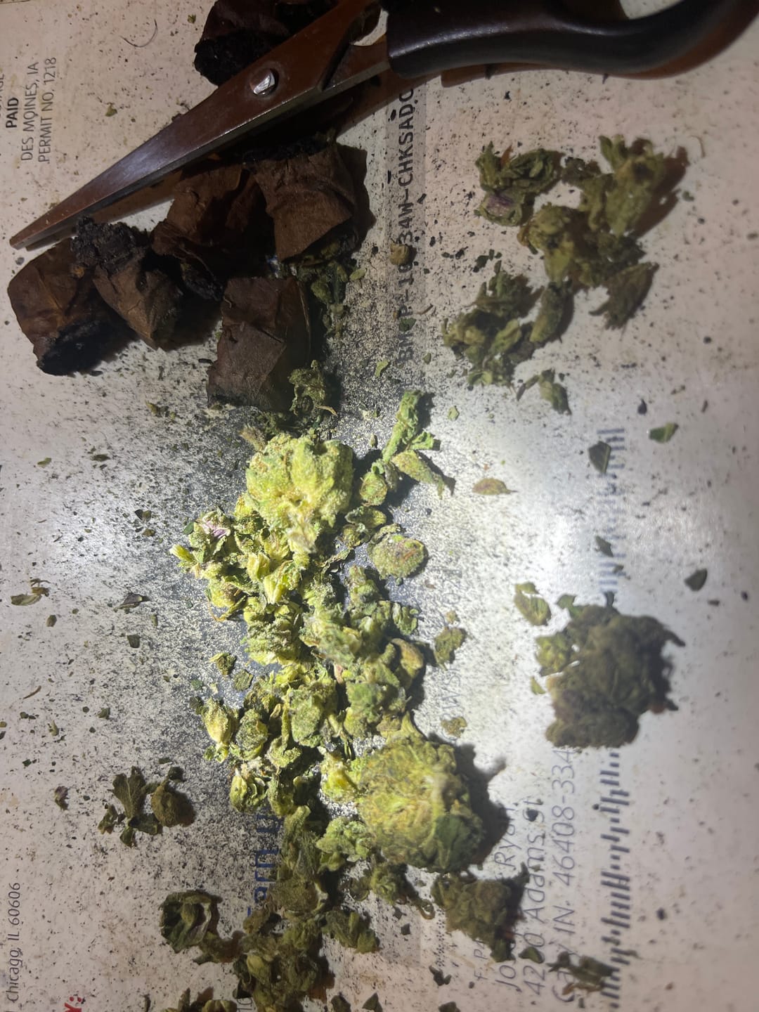 Customer photo review of Cheap Indoor THCA Flower Ounce