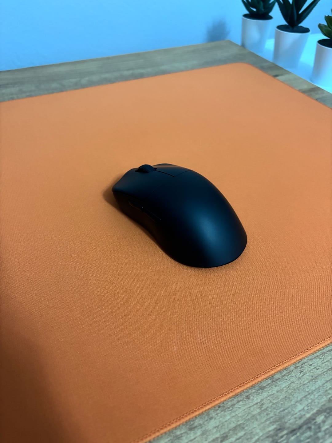 Customer photo review of RAWM ES21 Pro Wireless Mouse