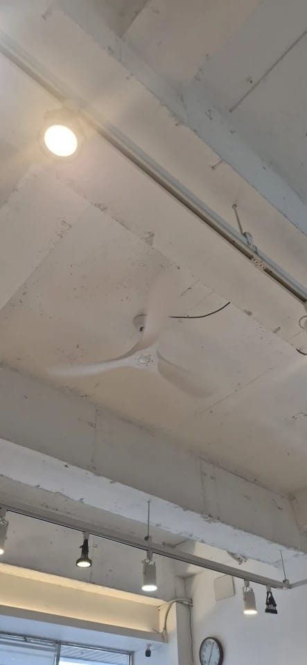 Customer photo review of 36/42/52/60-Inch Ceiling Fan with Six Speeds, No Light