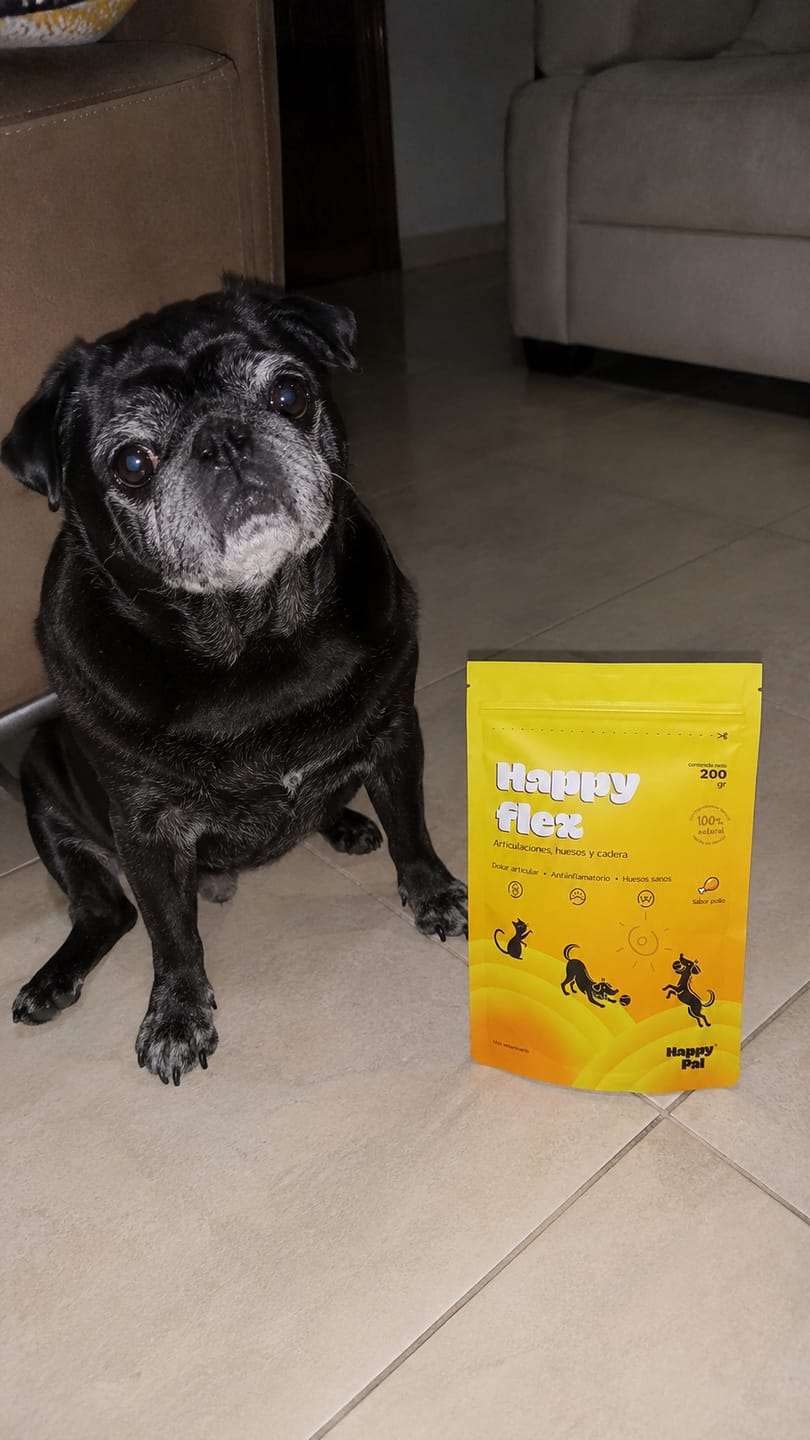 Customer photo review of Happy Pal I Happy Flex I Suplemento Para Articulaciones de Perros y Gatos