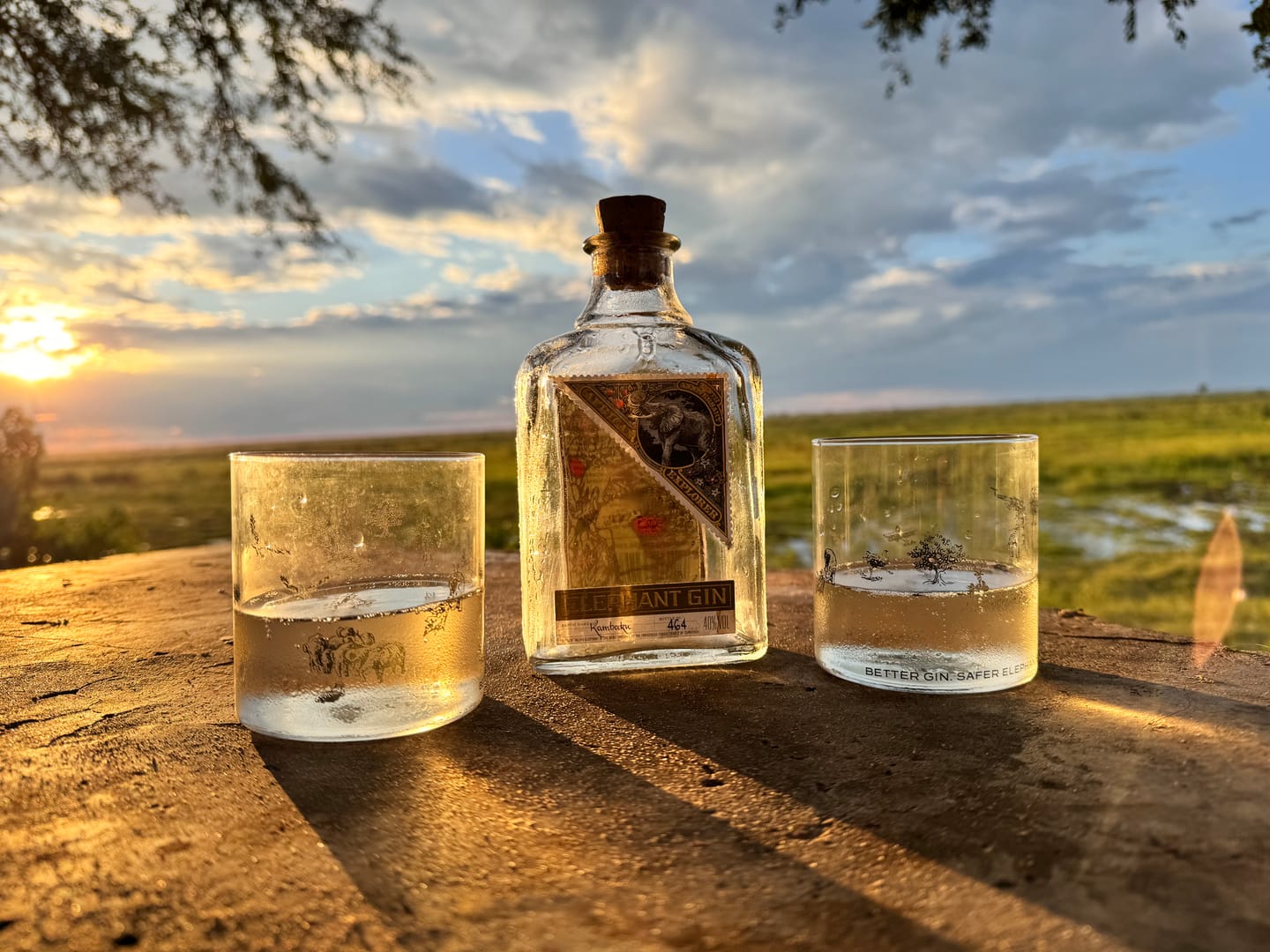 Customer photo review of Elephant London Dry Gin 500ml