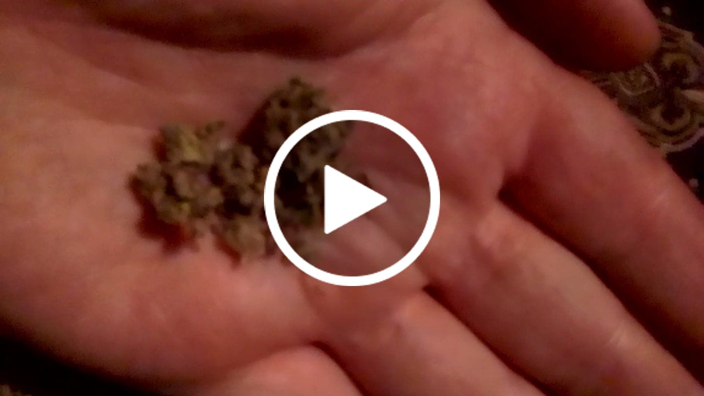Customer video review of FREE SAMPLE (with code) THCa Flower