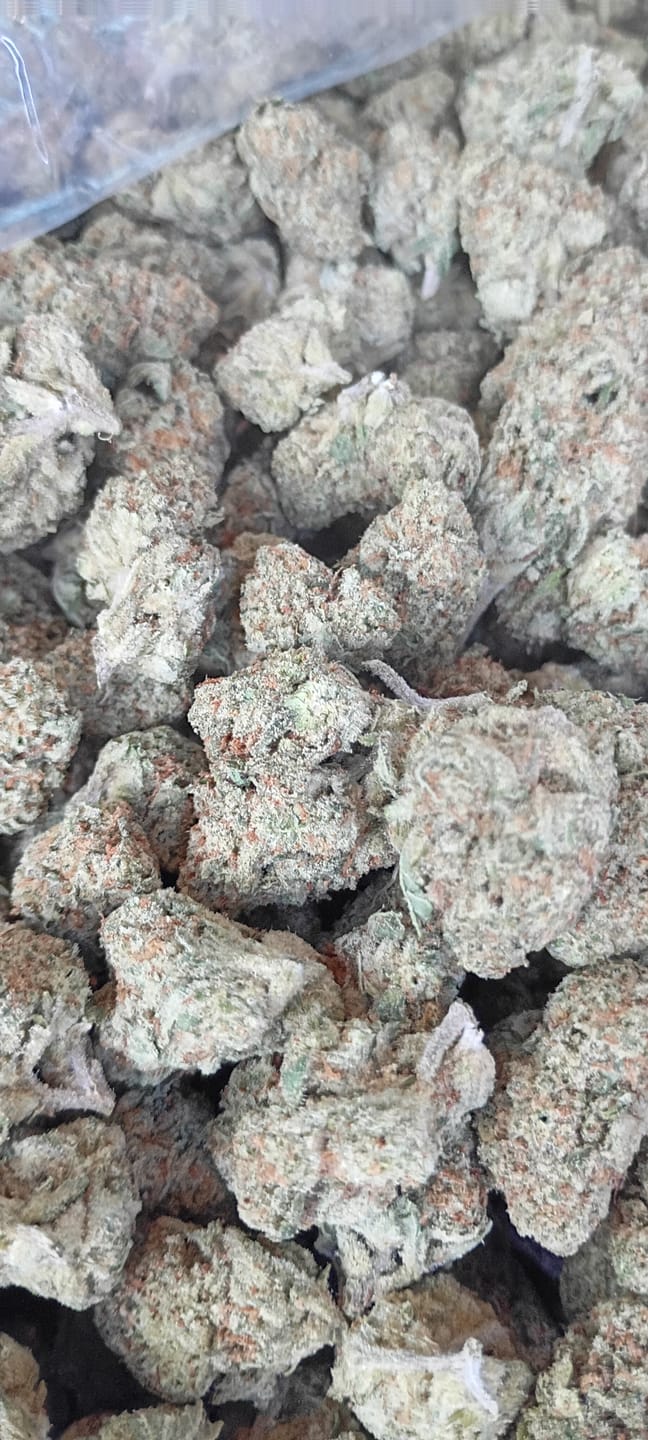 Customer photo review of Papaya Runtz - Bulk - Hybrid