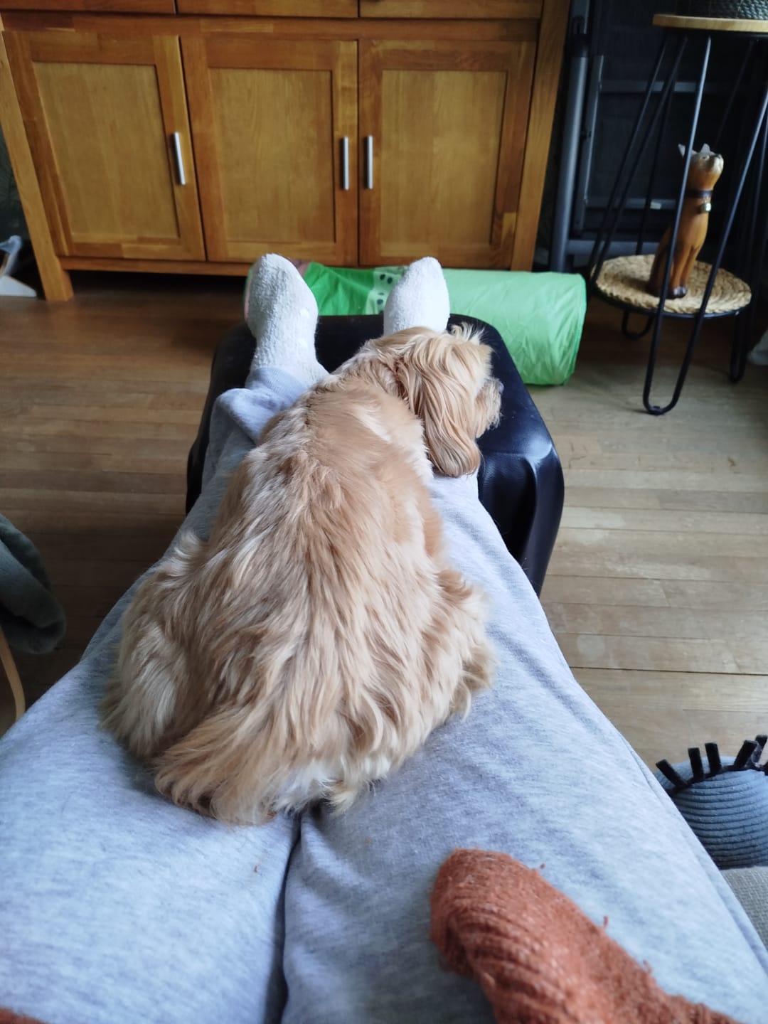 Customer photo review of Complément articulations
