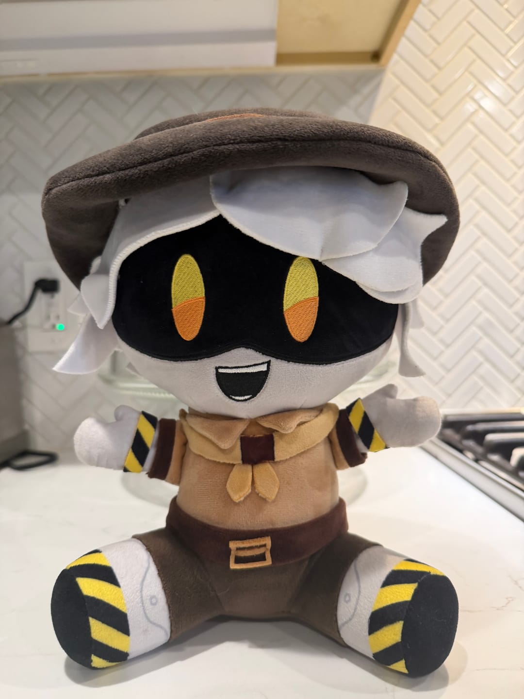 Customer photo review of N Camping Plush
