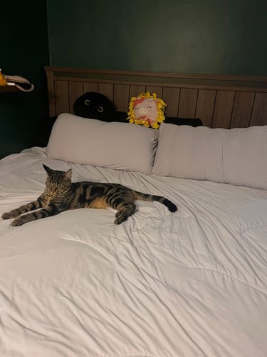 Customer photo review of CloudCool™ Cooling Comforter