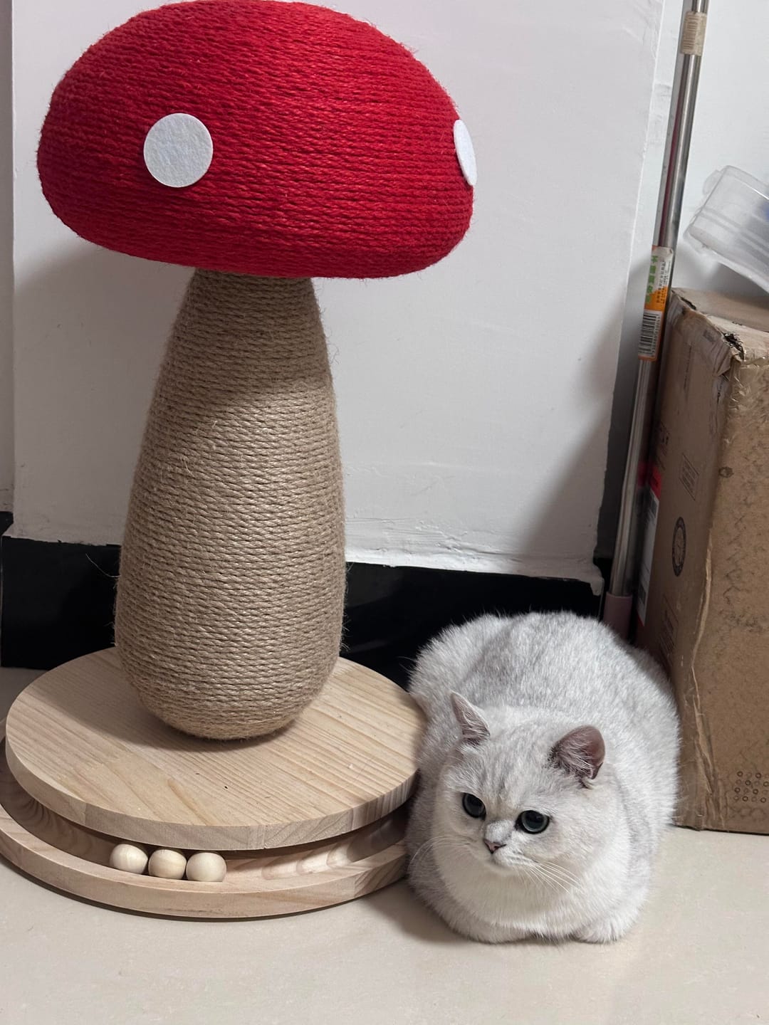 Customer photo review of Red Mushroom Cat Scratching Post