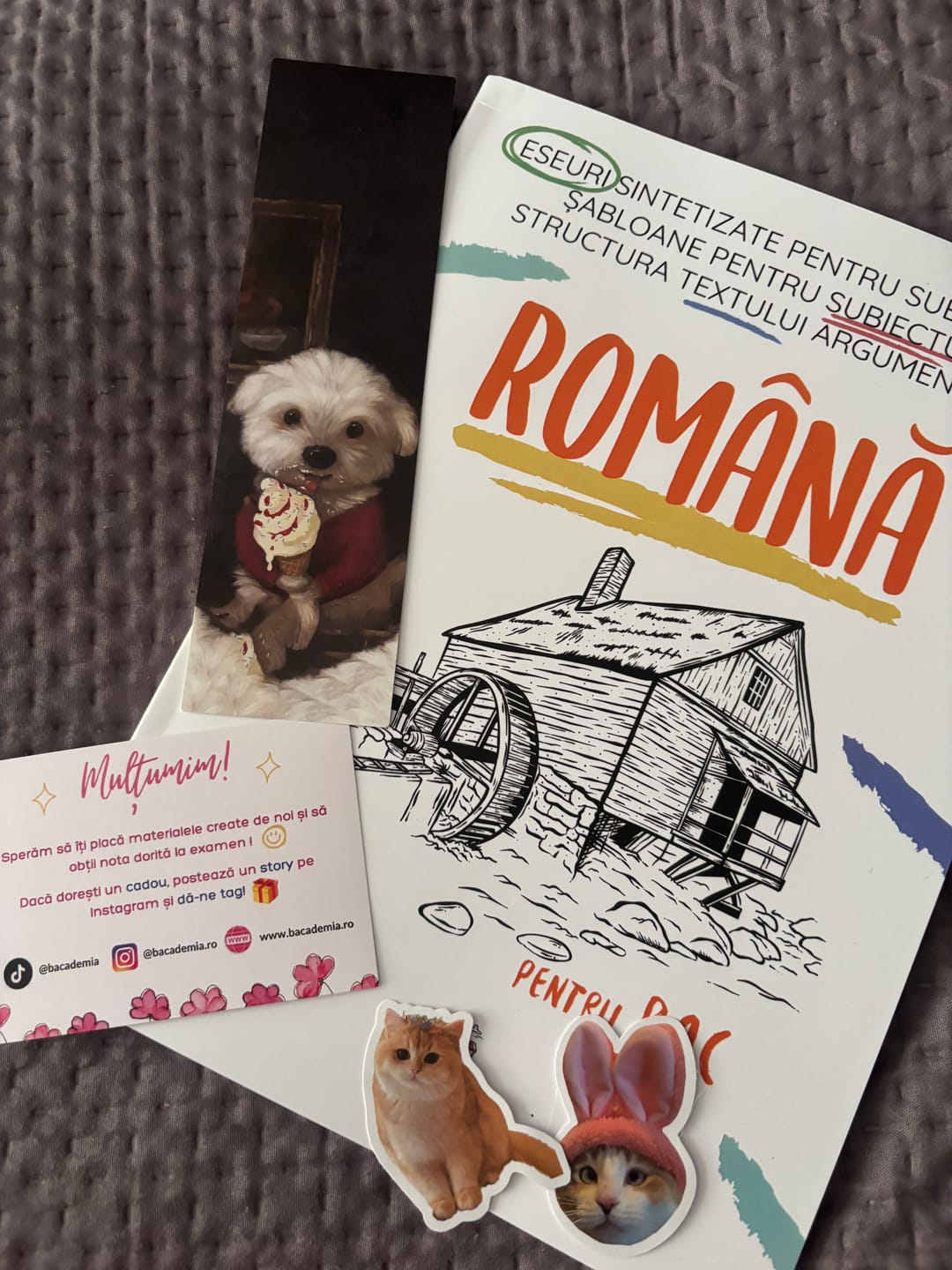 Customer photo review of Carte Română Bacalaureat Bacademia (temă și viziune, caracterizare, relație) - Ediția II