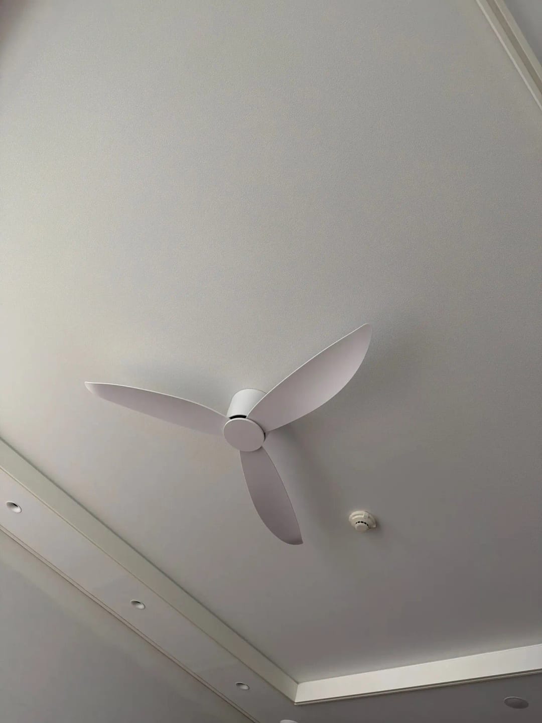 Customer photo review of 36/44/52-Inch Low-Profile Ceiling Fan with Remote Control