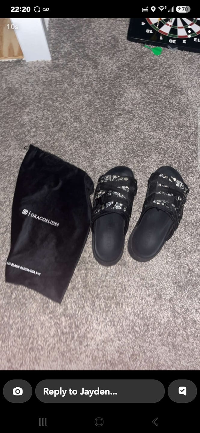 Customer photo review of DracoSlides Travel Bag