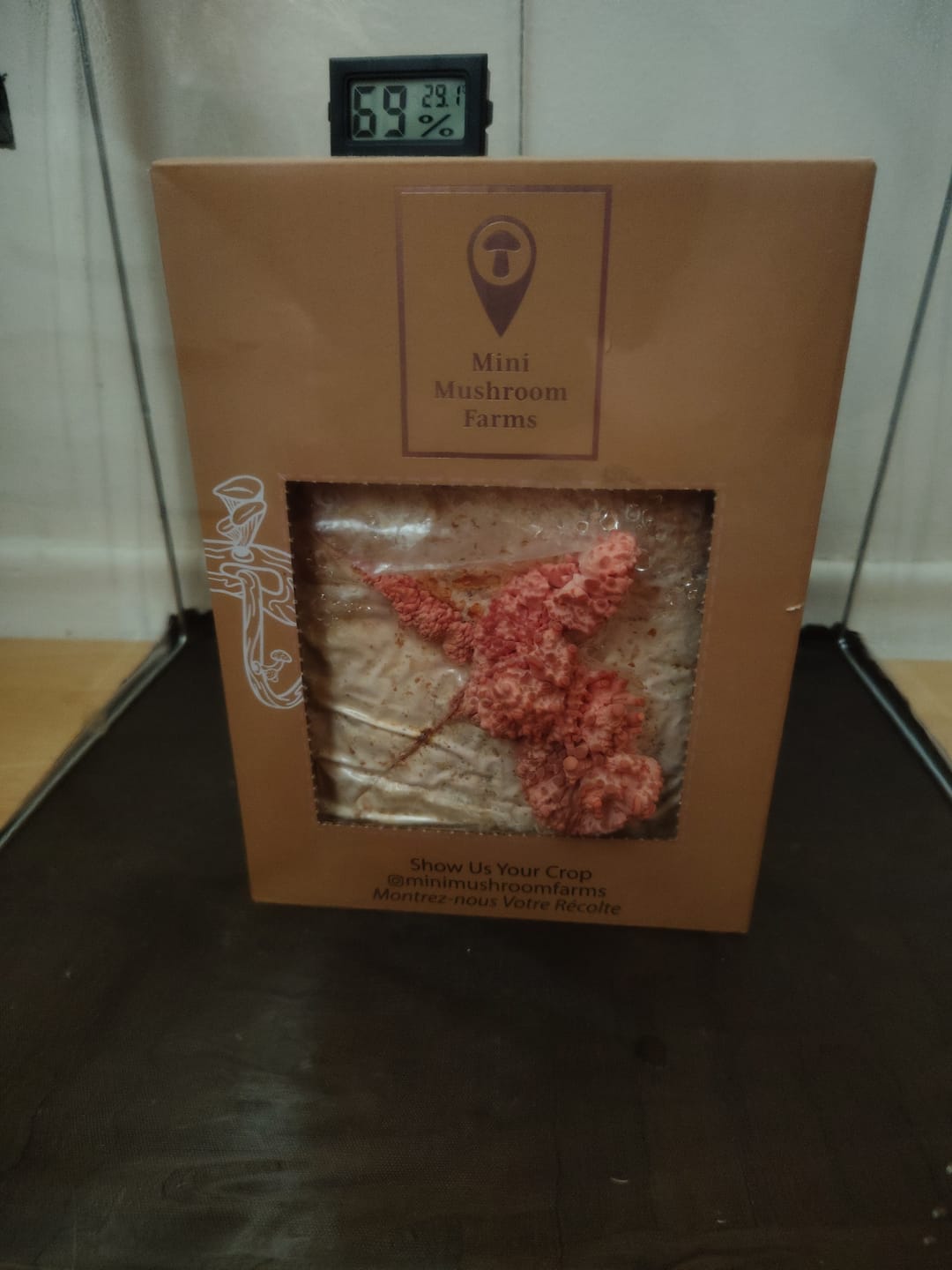 Customer photo review of Essentials Bundle Gift Set + Grow Kit