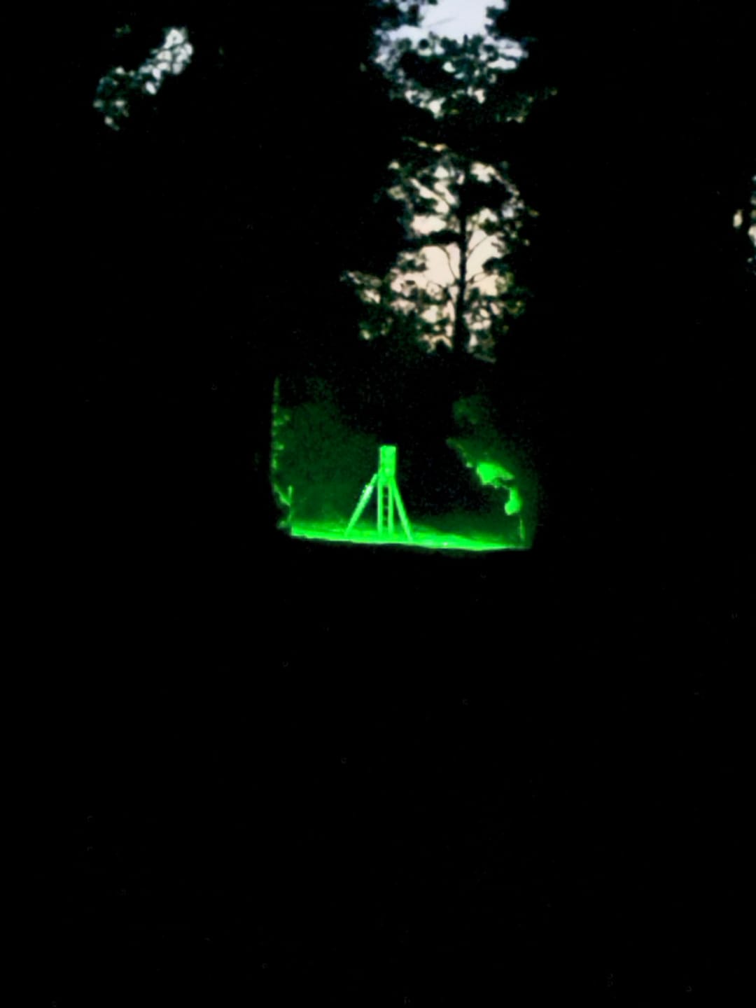 Customer photo review of Solar Green Feeder Light for Hunting -10,000 lumens