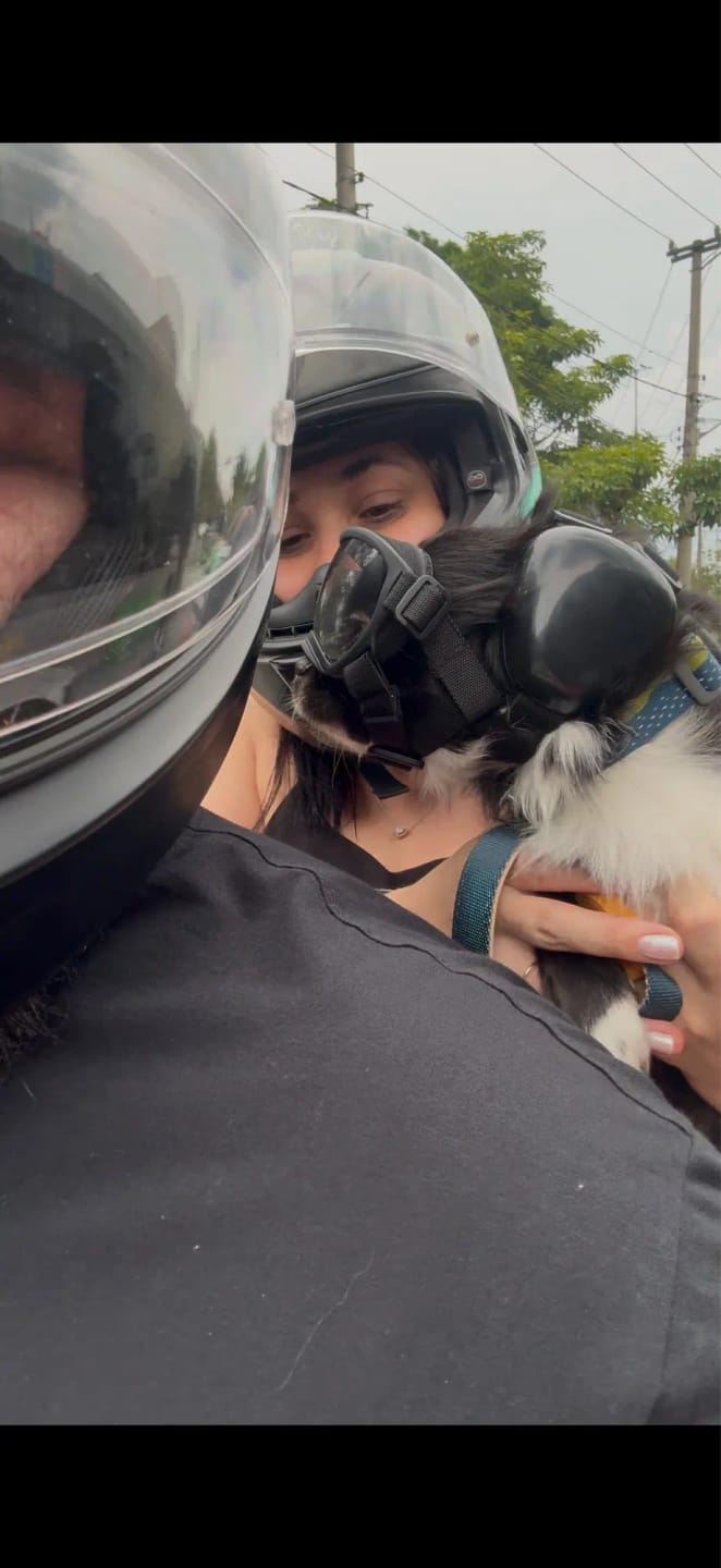 Customer photo review of CANLUX Pet - Gafas para Mascotas