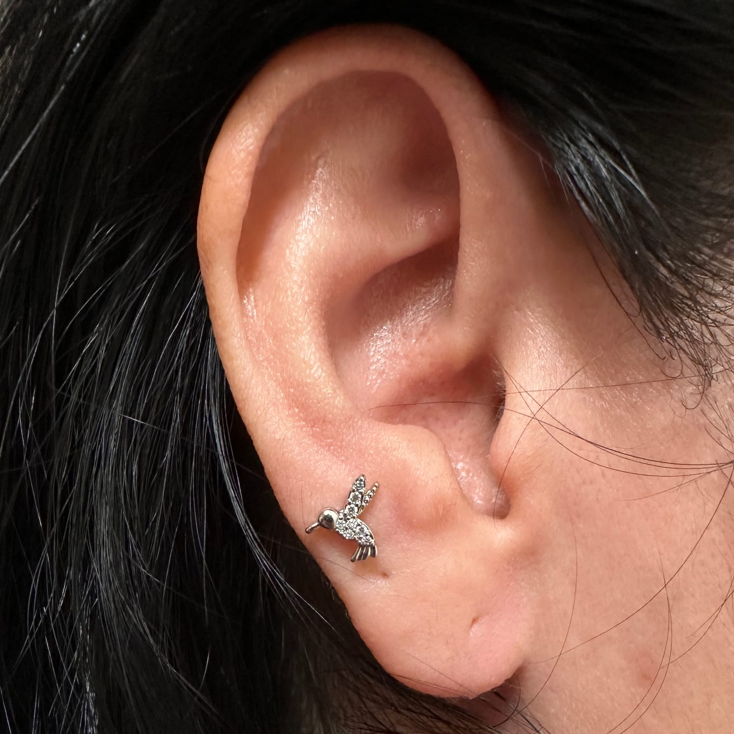 Customer photo review of Piercing Colibrí