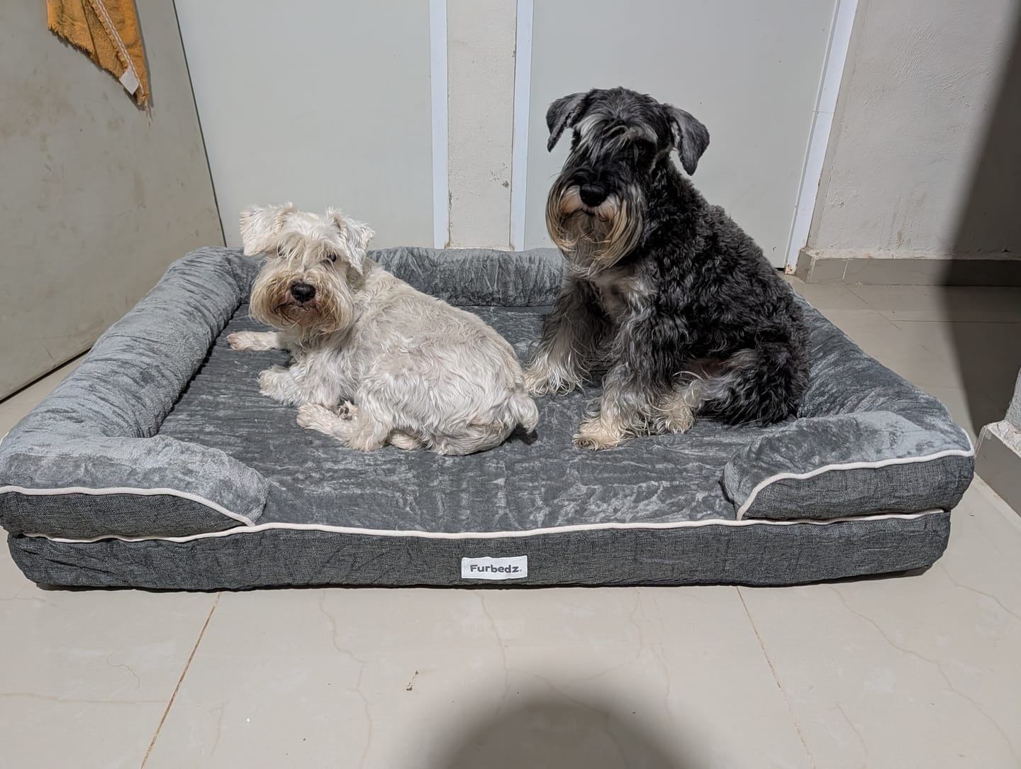 Customer photo review of Cama Ortopédica para Perros