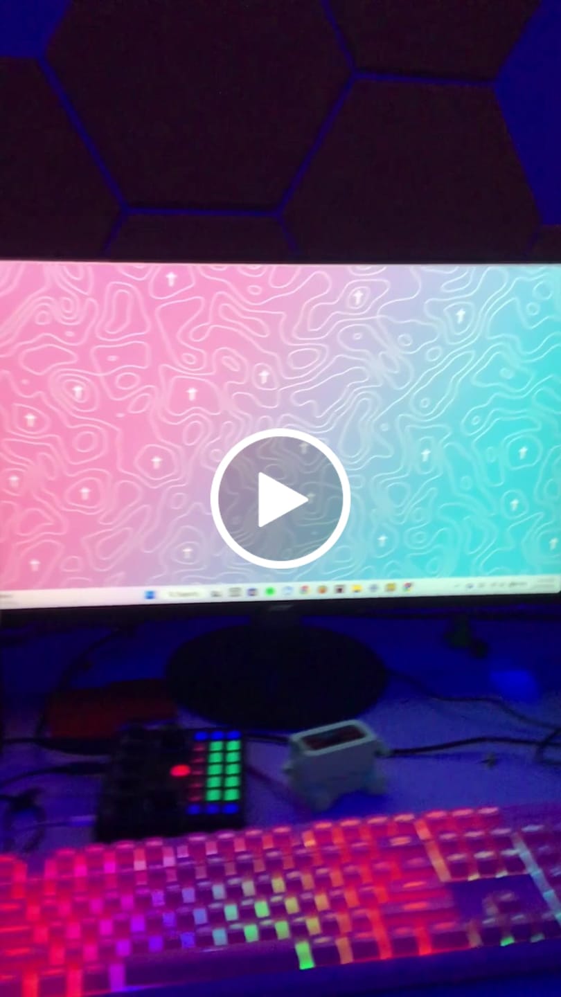 Customer video review of Topo Wallpaper Bundle