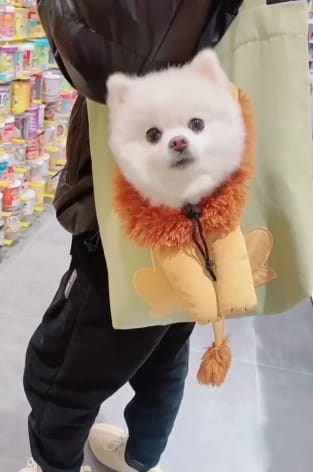 Customer photo review of Tote Bag Perruna